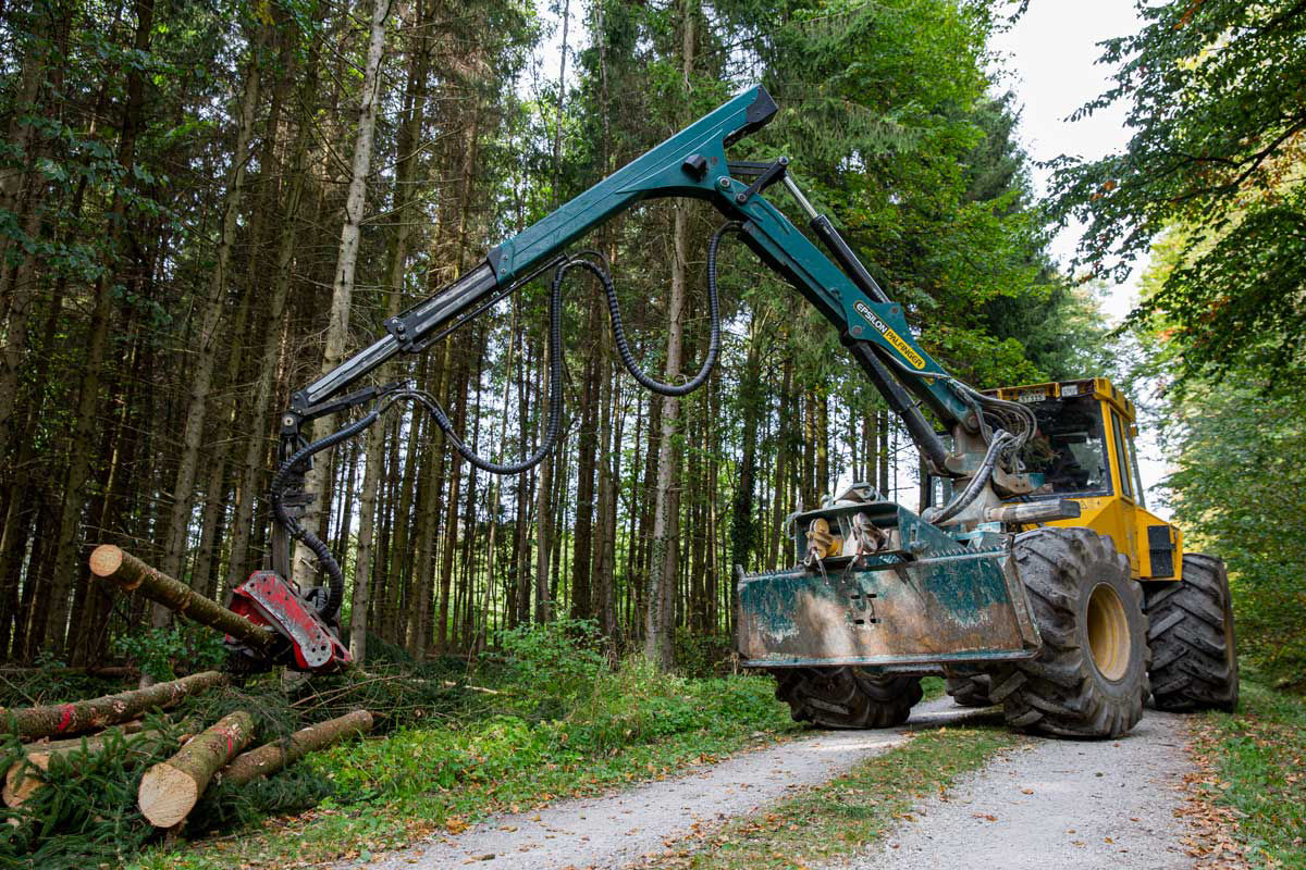 „Forstbetrieb Steppich – nachhaltige Waldwirtschaft und Holzernte“
