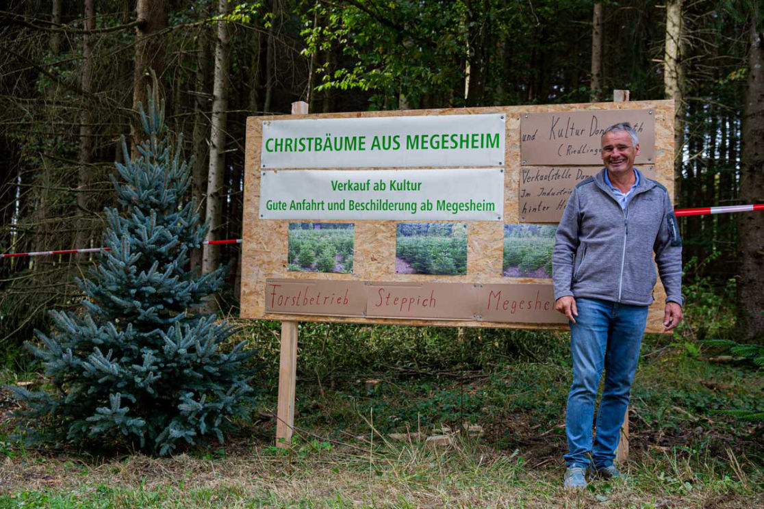 „Forstbetrieb Steppich – nachhaltige Waldwirtschaft und Holzernte“