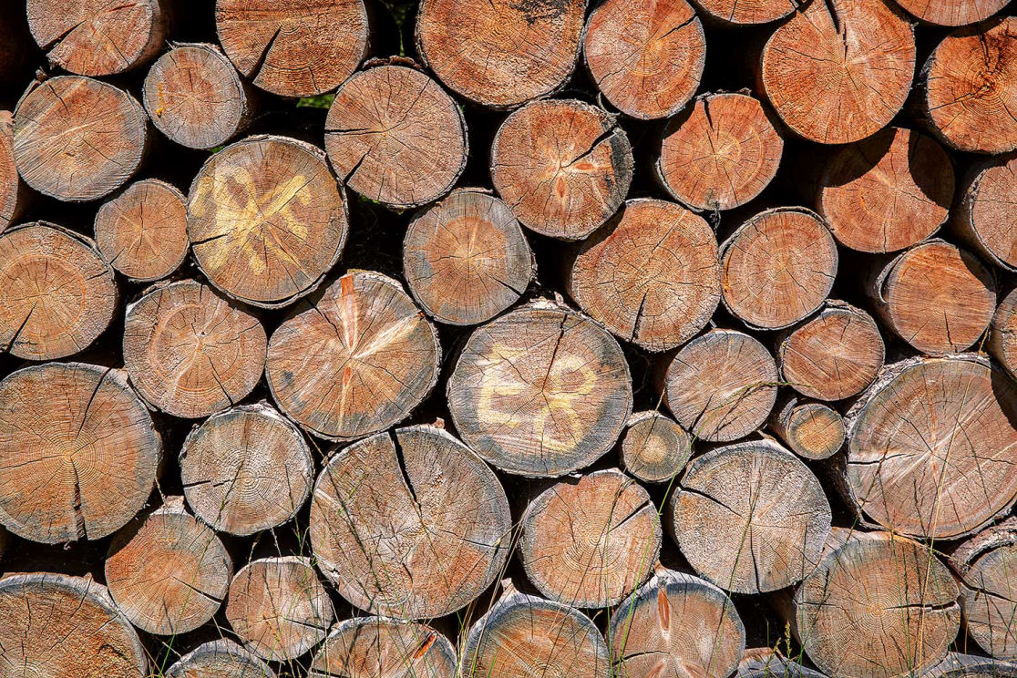 Holzbrennstoffe aus nachhaltiger Forstwirtschaft – Hackschnitzel und Brennholz